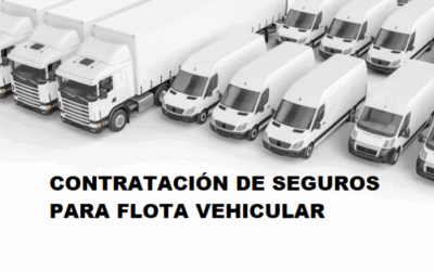 AM – CONTR. DE SEGUROS PARA FLOTA VEHICULAR