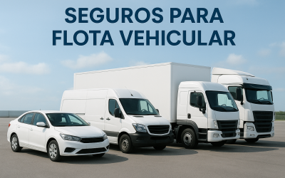 A. Marco para la Contratación de Seguros para Flota Vehicular