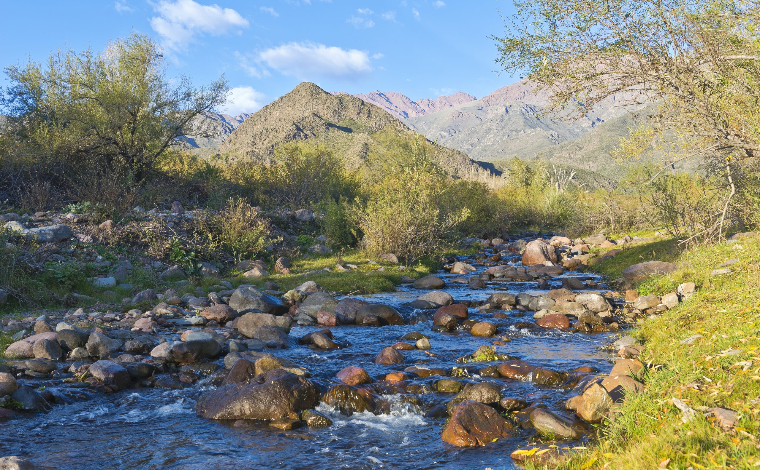 Río - Manzano Histórico