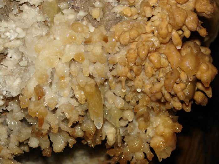 Flores-700x525 Estalactitas