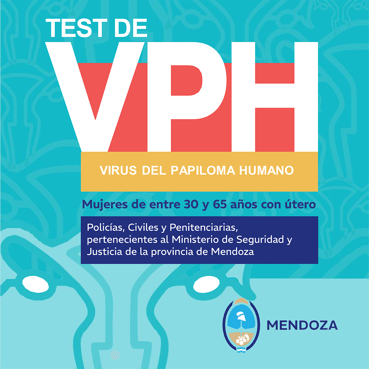 VPH_link_web