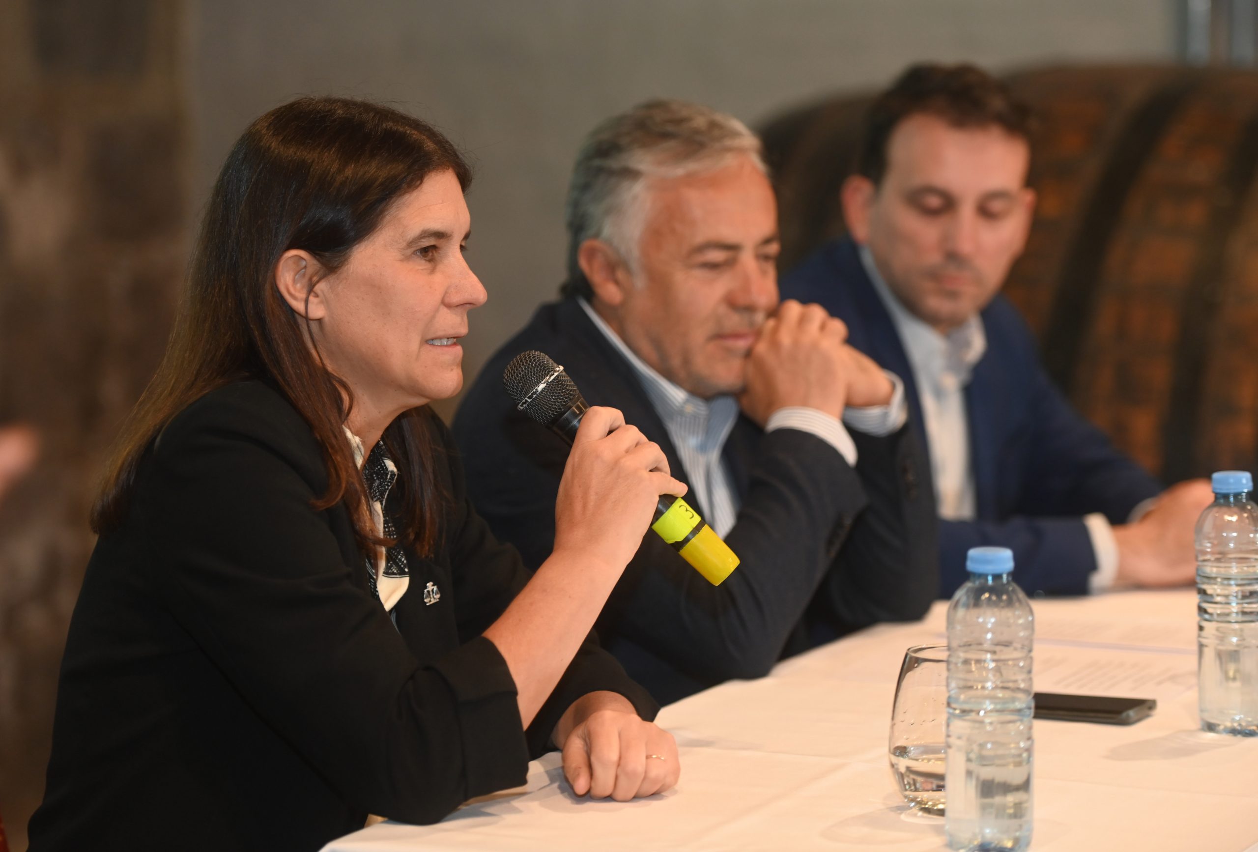 Jornada de Adopción en Mendoza: discapacidad e inclusión, ejes del debate