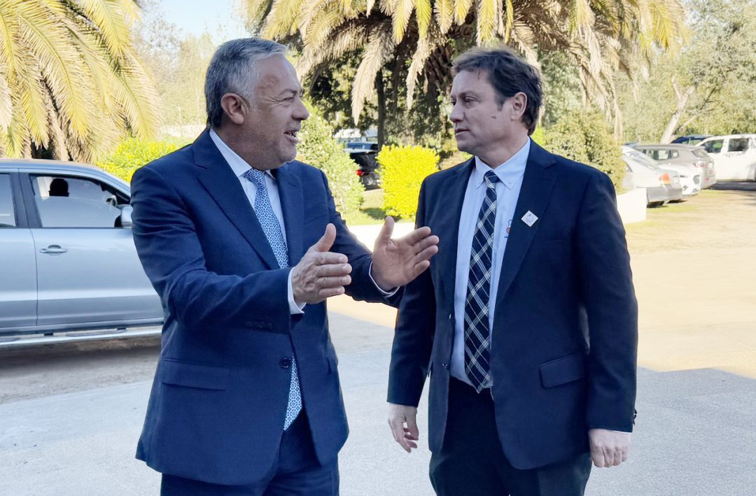 Un corredor estratégico: el Paso Pehuenche como motor de integración y desarrollo binacional