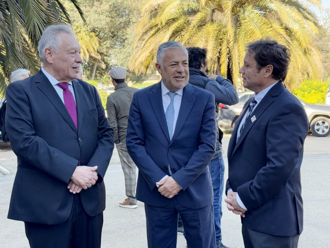Un corredor estratégico: el Paso Pehuenche como motor de integración y desarrollo binacional