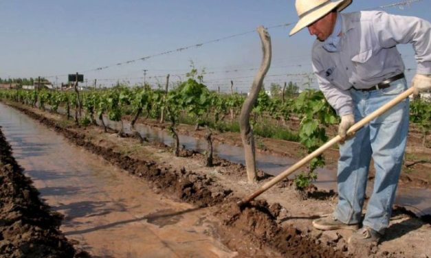 Fondo Compensador Agrícola: hasta el 12 de septiembre hay tiempo para adherirse