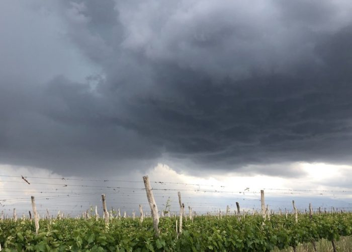 Heladas y granizo: cómo y cuándo realizar las denuncias por daños climáticos