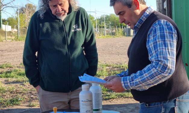Operativo Lobesia 25/26: comenzó la segunda etapa del plan de control que alcanza a 1.300 productores