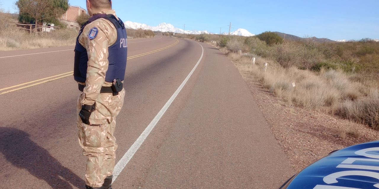 La Policía Rural decomisó 160 kilos de carne en mal estado en Las Heras