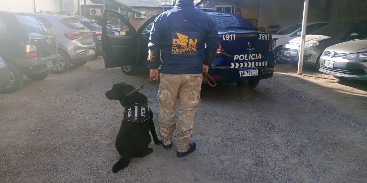 Desbaratan banda que vendía drogas con base en una playa de estacionamiento en San Rafael