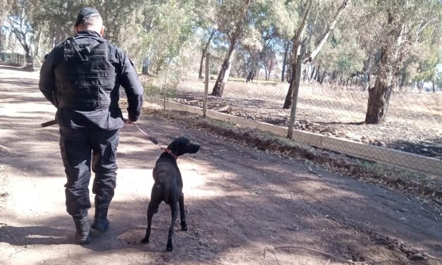 Duque, el perro policía, rastreó un robo y permitió recuperar los elementos en General Alvear