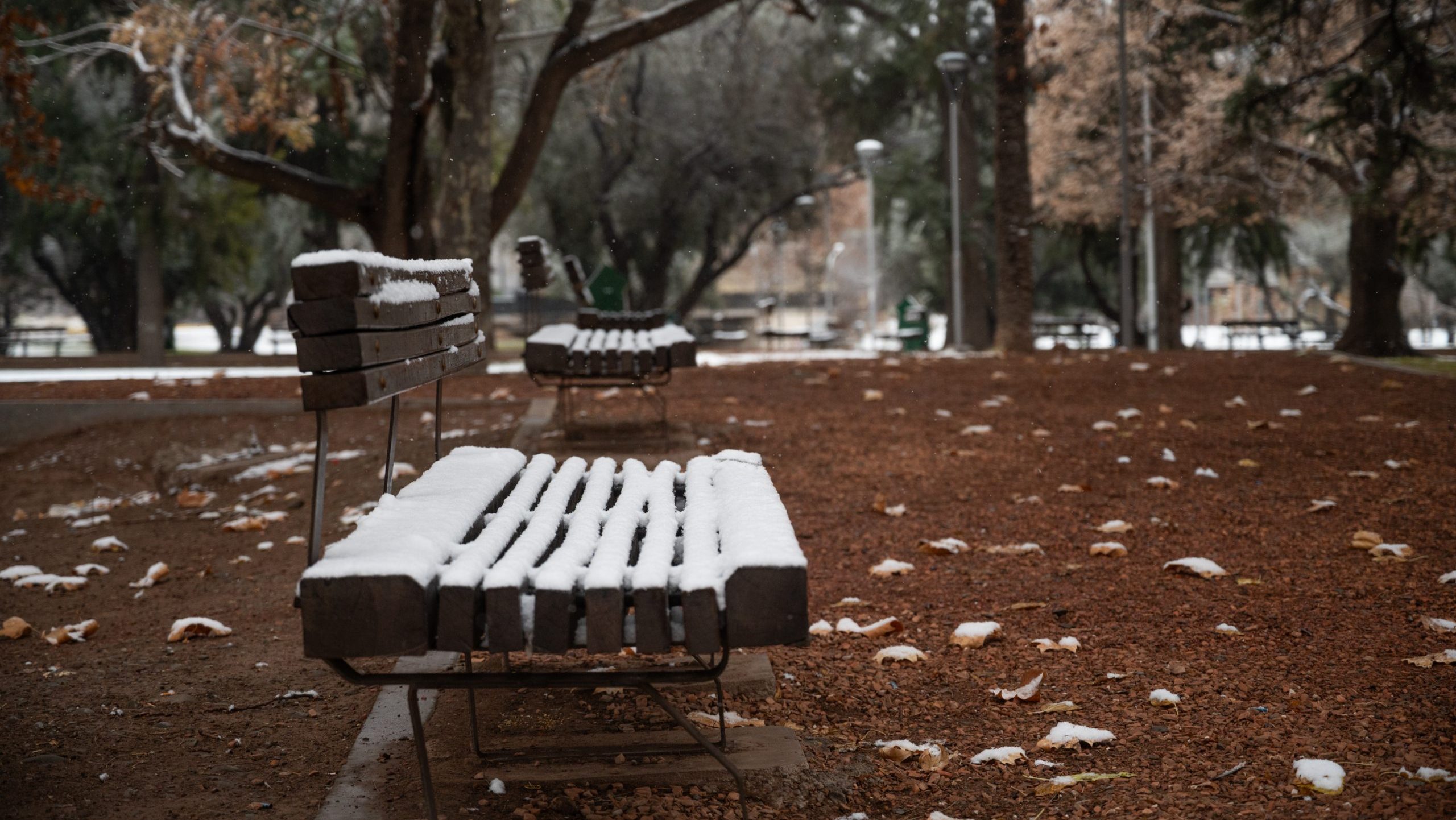 frío invierno nieve 21