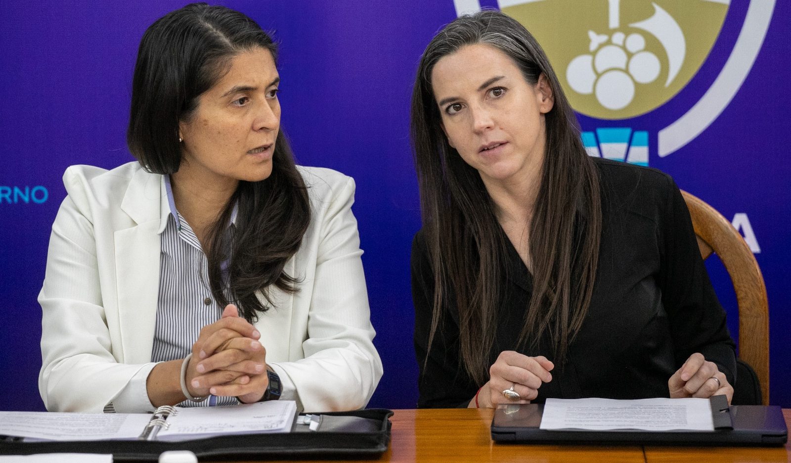 Plan Regional de Seguridad de Cuyo: Mendoza, San Juan y San Luis avanzan en un frente común contra el delito rural