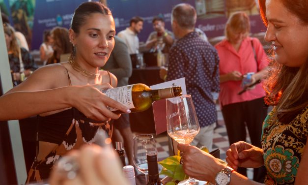 Llega Dionisias Rosé 2025: una experiencia dedicada al vino, al arte y al protagonismo femenino