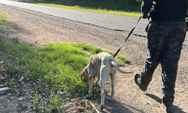 Fito, perro de la Policía, guio un rastreo y recuperó elementos robados en San Martín