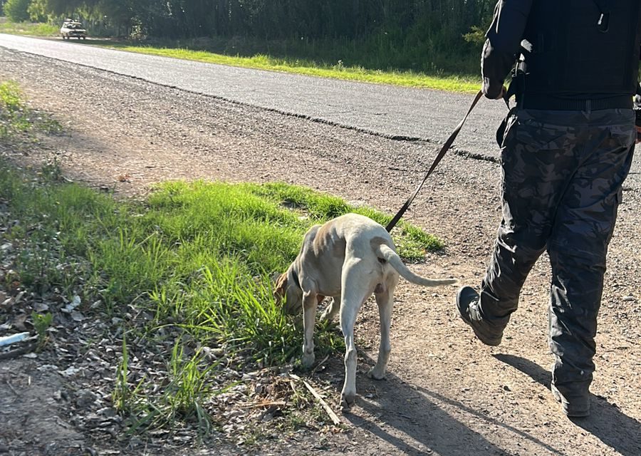Fito, perro de la Policía, guio un rastreo y recuperó elementos robados en San Martín