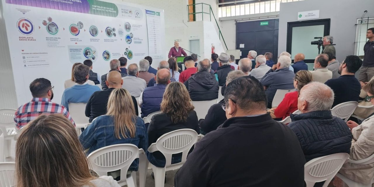 El Iscamen proveerá 1.000 millones de insectos estériles a la Patagonia para el control de la mosca del Mediterráneo