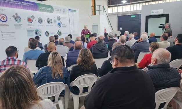 El Iscamen proveerá 1.000 millones de insectos estériles a la Patagonia para el control de la mosca del Mediterráneo