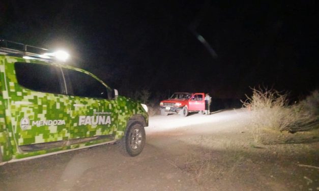 Controles nocturnos en el Este provincial para prevenir la caza furtiva