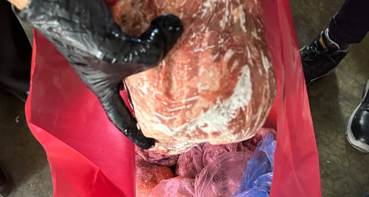 La Policía Rural decomisó más de 20 kilos de carne sin procedencia en Rivadavia