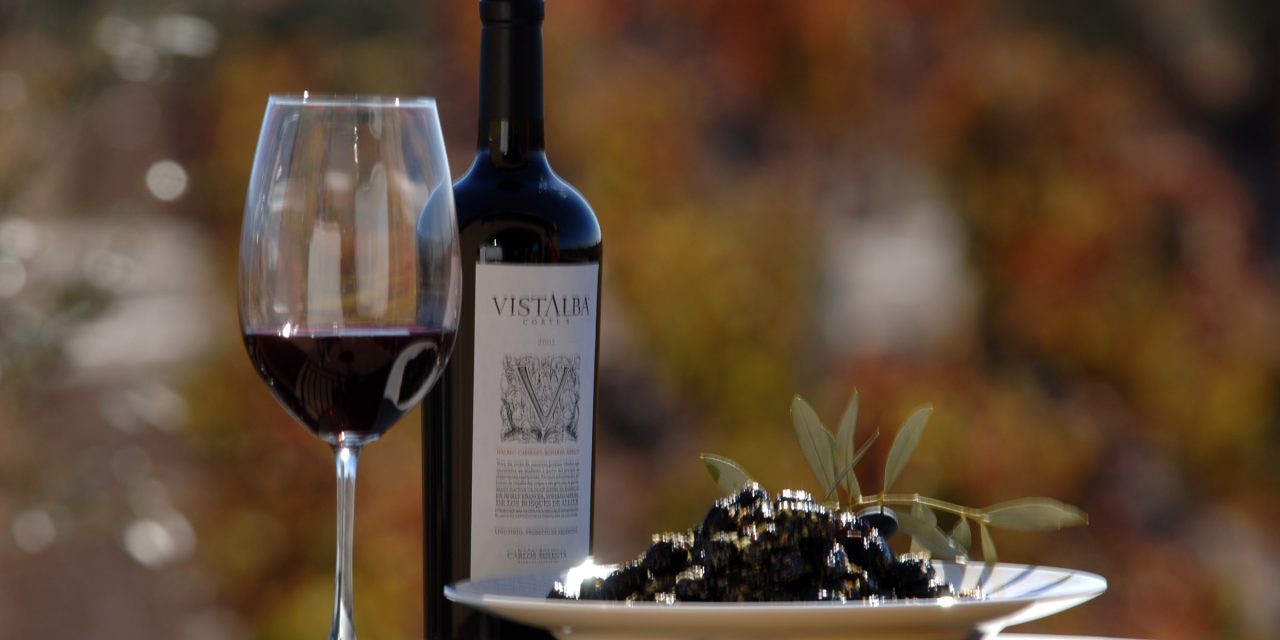Mansa Bodega: un nuevo recorrido por los sabores del vino mendocino