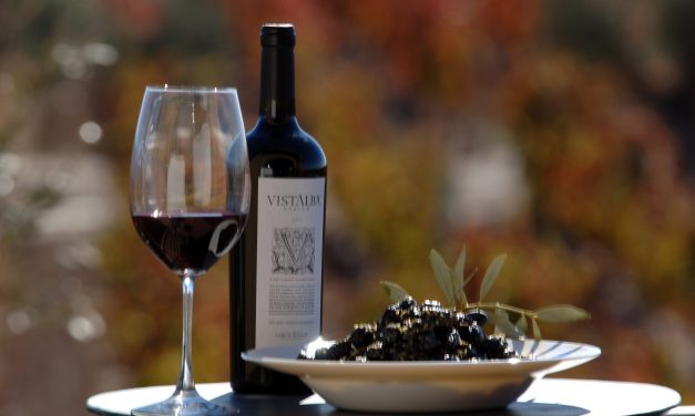 Mansa Bodega: un nuevo recorrido por los sabores del vino mendocino
