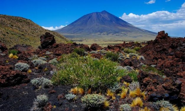 Mendoza abre la convocatoria para personal temporario en Áreas Naturales Protegidas, Plan Provincial de Manejo del Fuego y Náutica