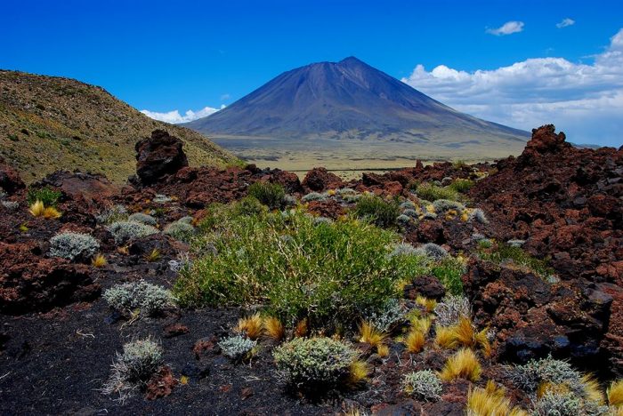Mendoza abre la convocatoria para personal temporario en Áreas Naturales Protegidas, Plan Provincial de Manejo del Fuego y Náutica