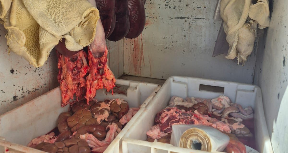 Operativo contra el abigeato: la Policía Rural decomisó 92 kilos de carne no apta para consumo en Lavalle