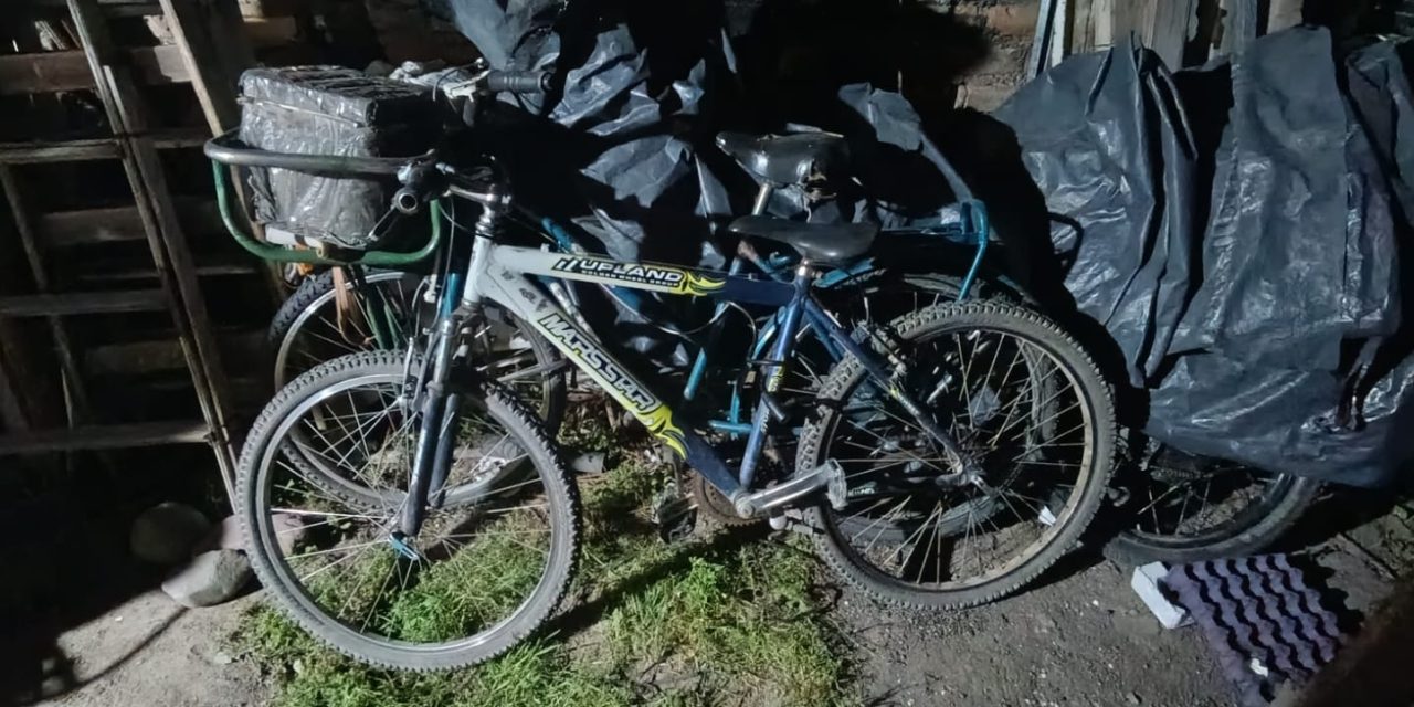 Tupungato: la UEP desplegó operativos de patrullaje preventivo con resultados positivos y cinco detenidos