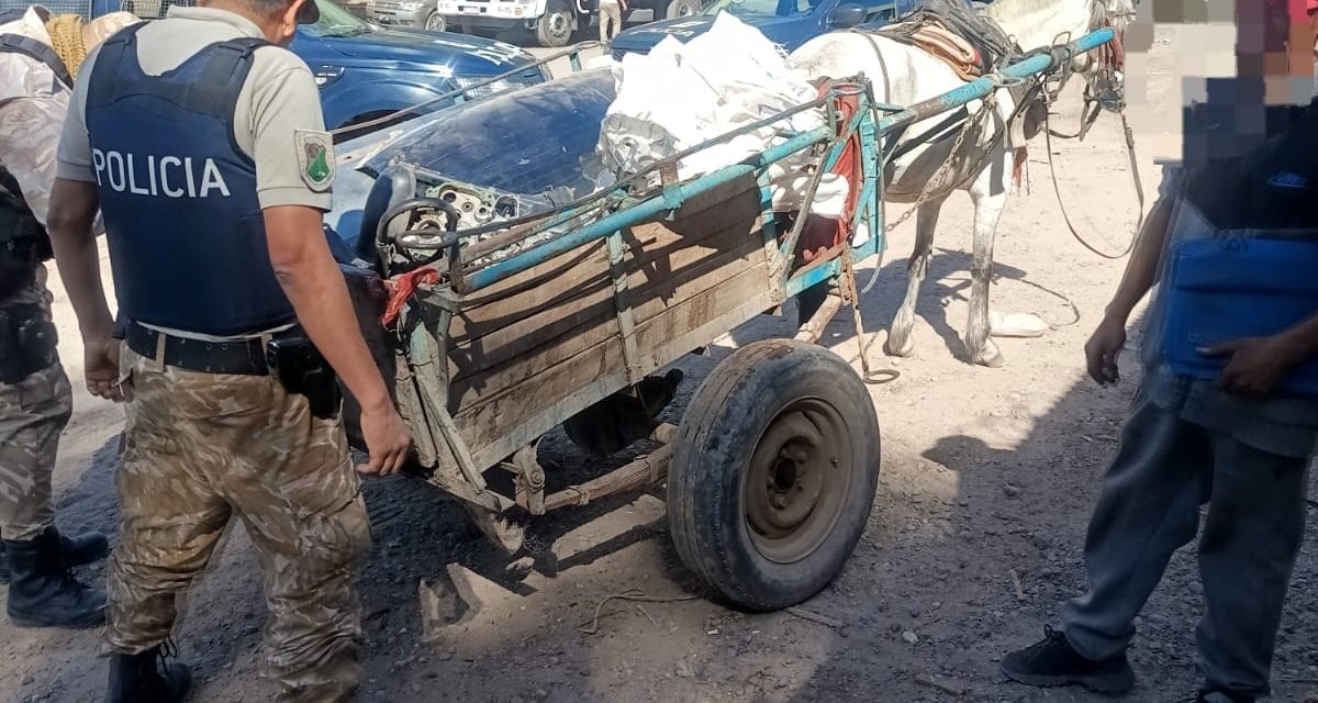 Operativo en Las Heras: secuestran autopartes de vehículos robados