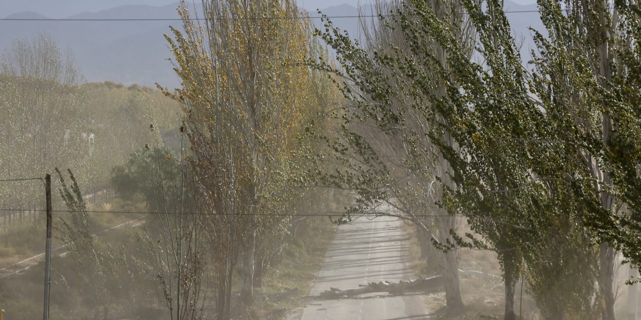 Martes 11 de noviembre: se suspenden las clases presenciales en Malargüe