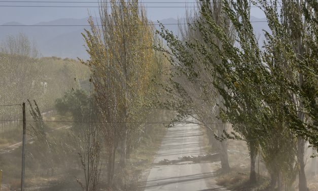 Martes 11 de noviembre: se suspenden las clases presenciales en Malargüe