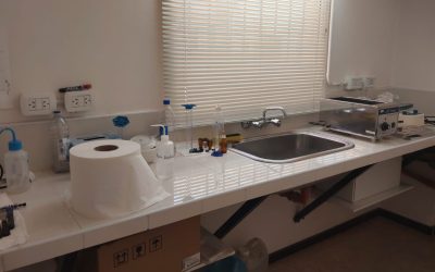 Gluten en vinos: Producción recuerda que está disponible su laboratorio para determinar la presencia de estas proteínas en nuestra bebida nacional