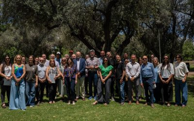 Mendoza celebró el Día Mundial del Olivo con actividades de oleoturismo