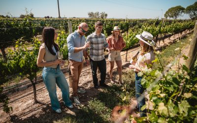 Mendoza invita a votar por sus representantes en los Premios del Público de las Grandes Capitales del Vino