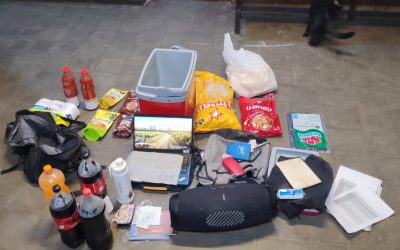 La Policía de Mendoza frustró la fuga de dos ladrones cargados con bienes robados