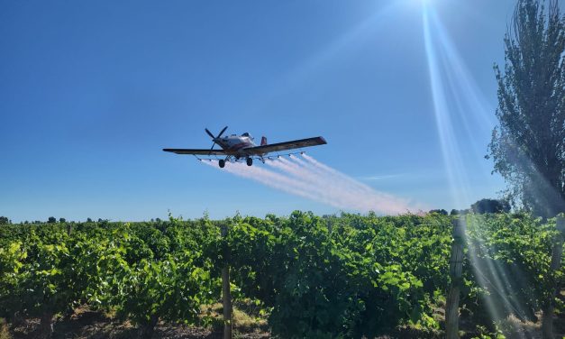 Lobesia botrana: el Iscamen finalizó el servicio de tratamientos aéreos en más de 90.000 hectáreas de los oasis Norte y Este