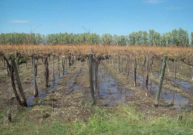 Contingencias Climáticas habilitó la toma denuncias por la tormenta del jueves 6 de noviembre