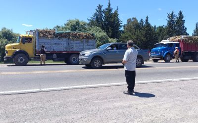 Mendoza refuerza los controles para garantizar un traslado seguro y ordenado del ajo fresco durante la temporada 2025