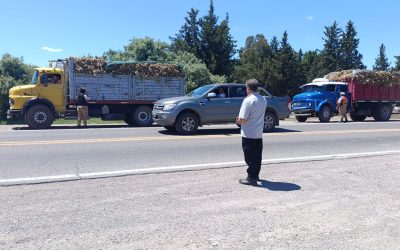 Mendoza refuerza los controles para garantizar un traslado seguro y ordenado del ajo fresco durante la temporada 2025