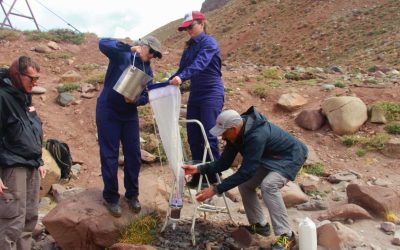 Taller sobre “Desechos plásticos en Alta Montaña” reunió a especialistas nacionales y provinciales en Mendoza
