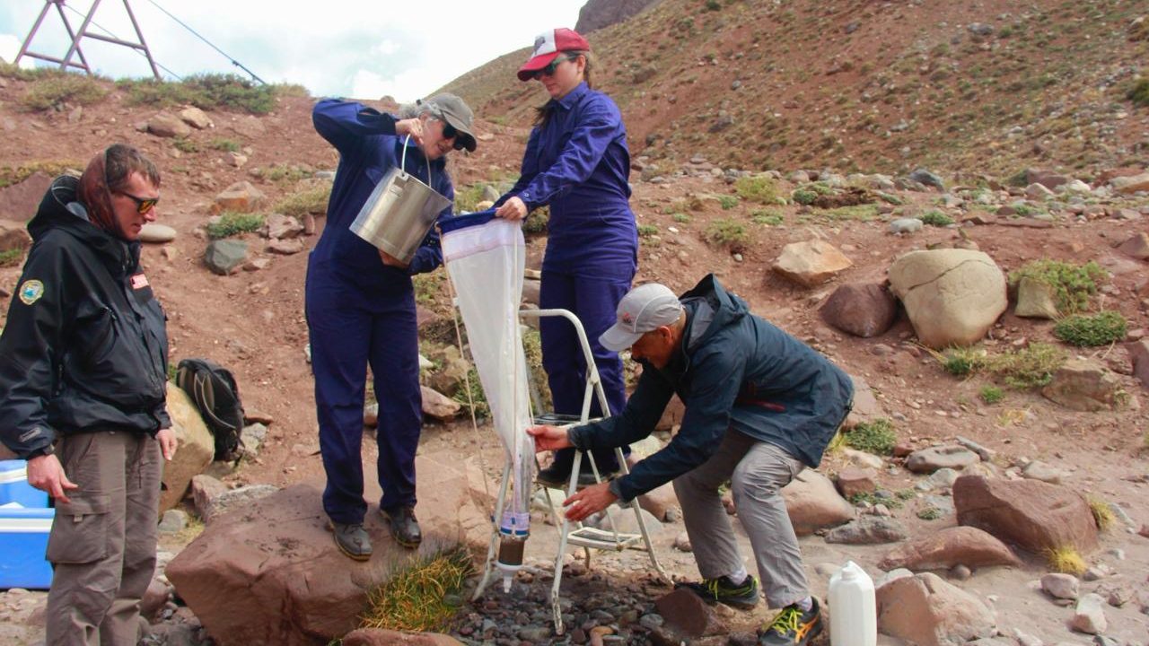 WhatsApp Image 2025-11-17 at 20.22.01