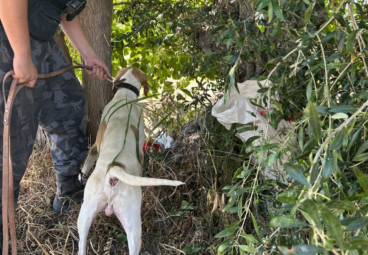 WhatsApp Image 2025-11-28 at 13.43.17