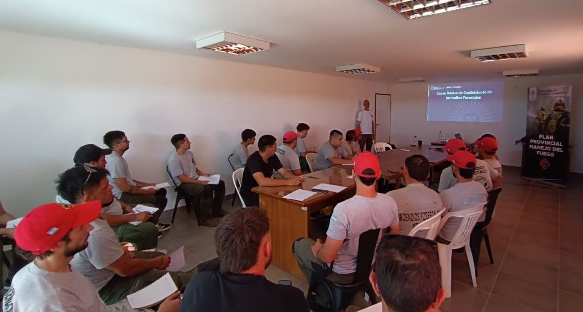 WhatsApp Image 2025-11-29 at 08.33.50 (1)