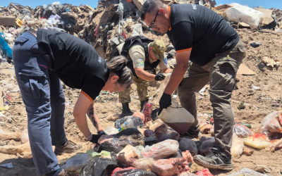 La Policía Rural decomisó 200 kilos de carne en mal estado durante un operativo en Las Heras