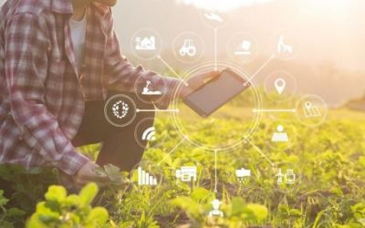 Productores mendocinos participarán en una jornada técnica institucional con foco en tecnología, eficiencia y manejo sostenible