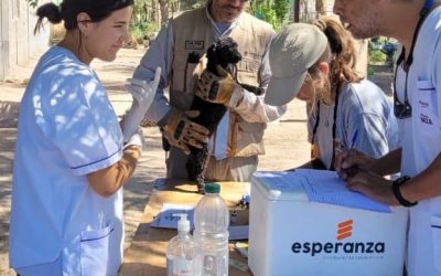 Mendoza refuerza la conservación en la Reserva de Biósfera Ñacuñán con una nueva campaña sanitaria de control poblacional y vacunación