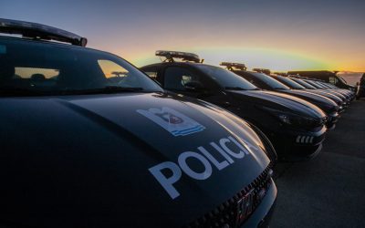 La Policía de Mendoza frustró un robo rural y desplegó maniobras preventivas en el Valle de Uco