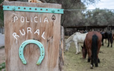 Las Heras: la Policía Rural decomisó 160 kilos de carne no apta para consumo