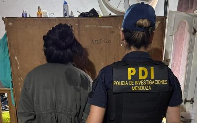 Plan Integral de Seguridad Regional: desarticulan una banda mendocina tras un robo en un shopping de San Juan